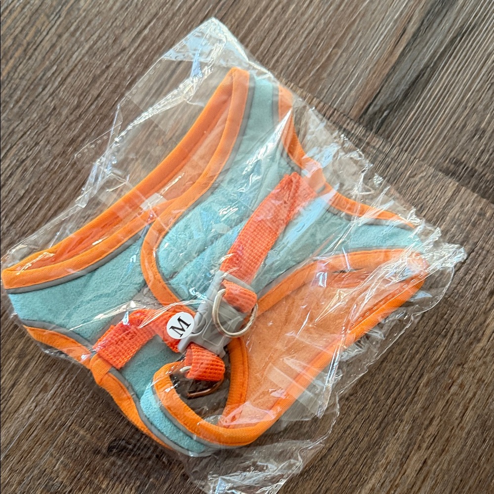 Kids Orange and Blue Harness